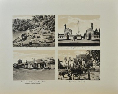 Antique Los Angeles Selig Zoo California and Bungalows Souvenir Art 1904