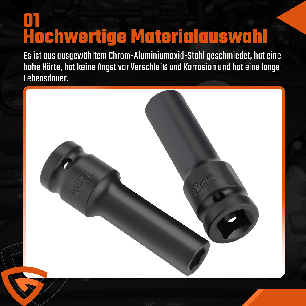 Bild 5 von 11