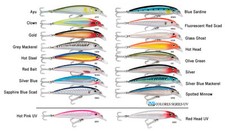 Rapala X-RAP Saltwater 14 Lure - Dives 4-8 Feet --Pick Your Color