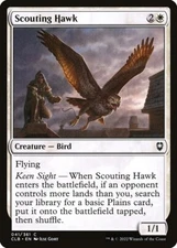 SCOUTING HAWK x4 mtg NM-M Commander Legends Baldurs Gate 4 Common