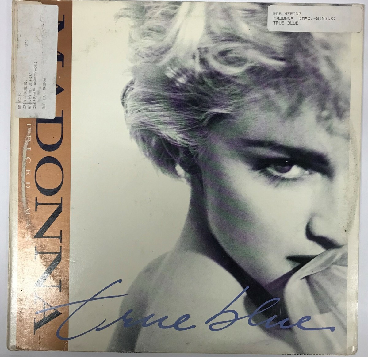 人気ブランドの True - Madonna Blue 12 Vinyl 洋楽