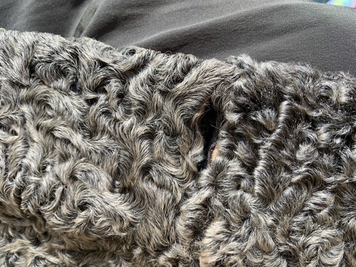 Fur broadtail lamb Silver Winter Coat Woman size S - Picture 9 of 15