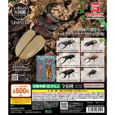Escarabajo Enciclopedia: Ciervo Escarabajo 12 Juego Completo de 6 Cápsulas Gashapon BANDAI