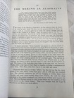 Foto 5 di 12