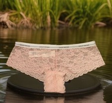 GILLY HICKS Cheeky Pink Lace Logo Knickers XS 6 8 Women’s Briefs Hollister Fitch