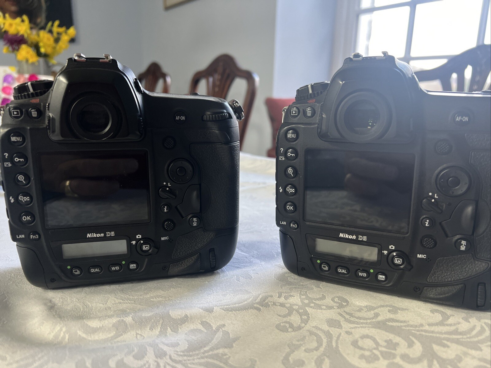 Nikon D5 eBay