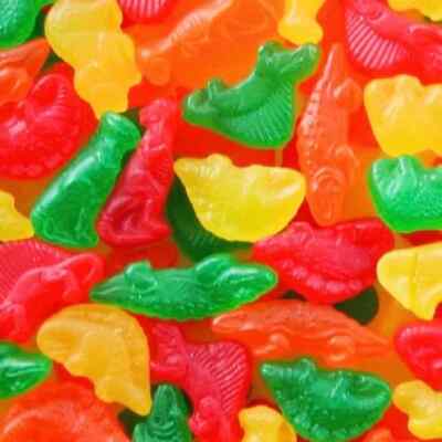 Sour Dinosaurs Jujube 6 LBs Gummy Fruit Bulk Candy