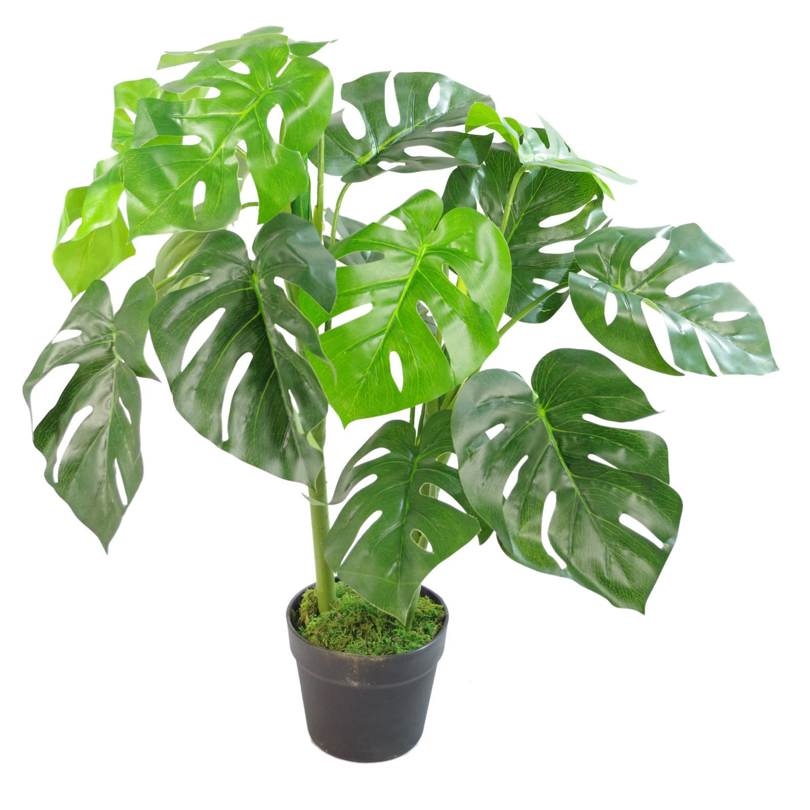80cm Monstera - 7151