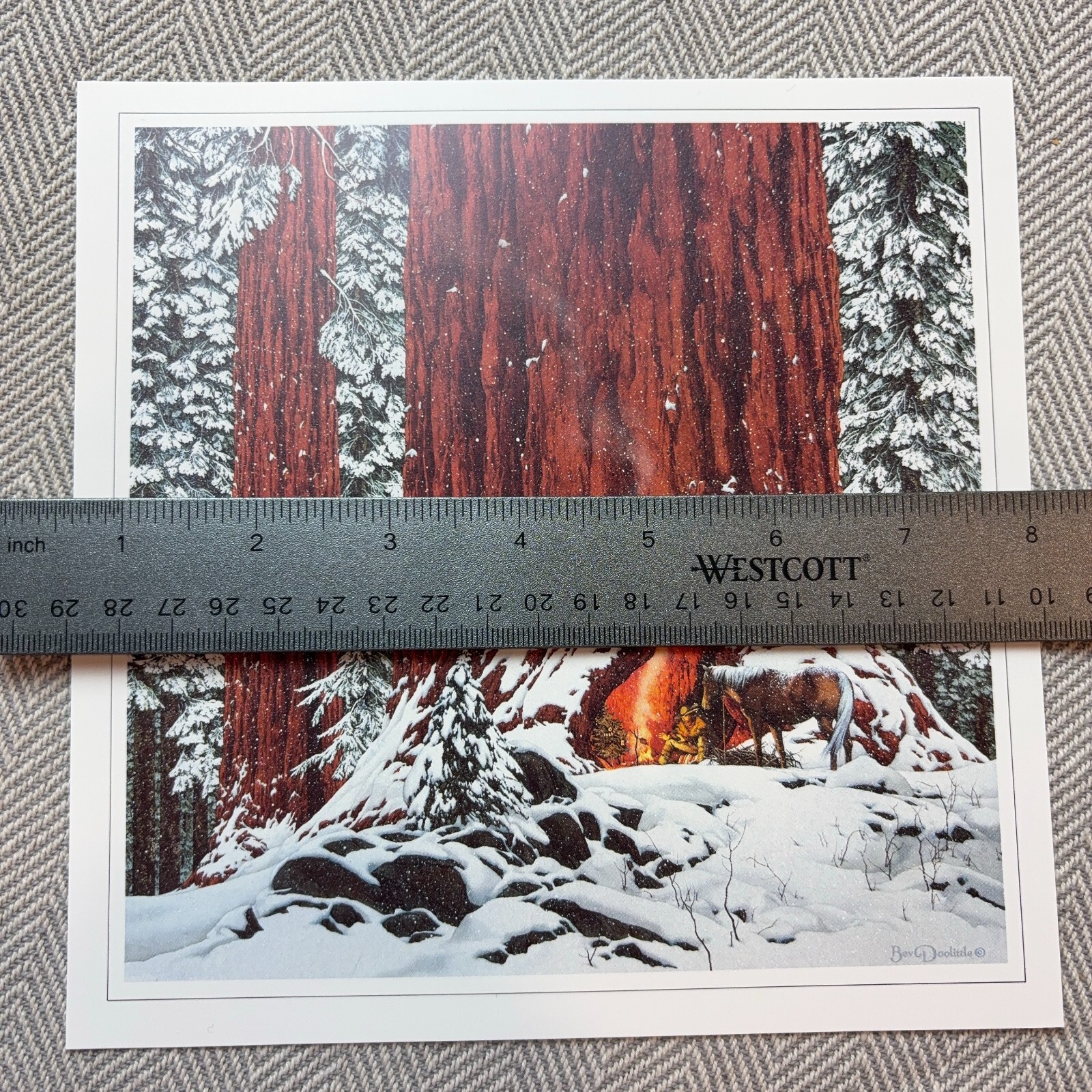 Picture 2 of 6