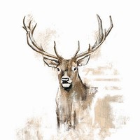 20 Servietten Antlers Hirsch Gemalte Form Tiere Wild Wald Jagd Tischdeko 33X33Cm