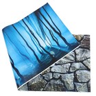 Bild 7 von 12