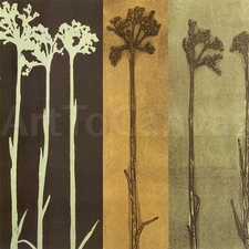 36W"x36H" SEPIA SUNSET by MARY MARGARET BRIGGS CANVAS