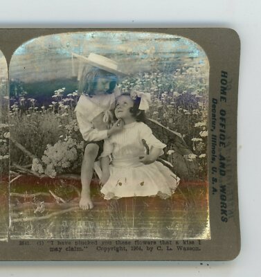 I Have Plucked You these Flowers Genre Children International Stereoview