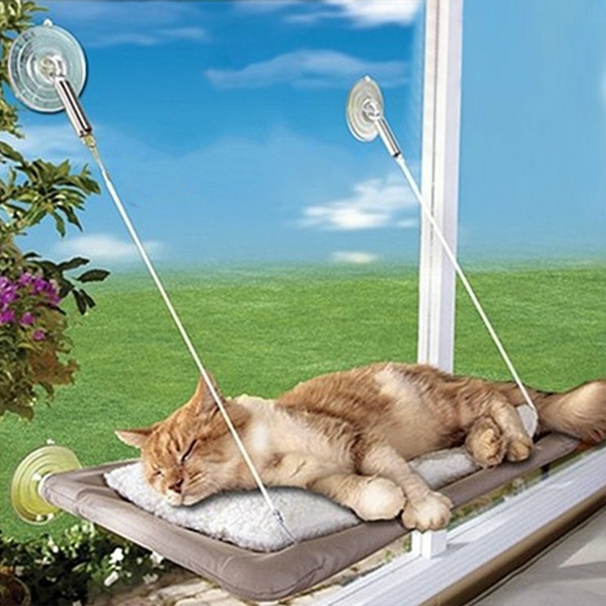 Jzk Cat Window Mounted Basking Bed Pet Suction Cup Hammock Hanging Beduk For Sale Ebay
