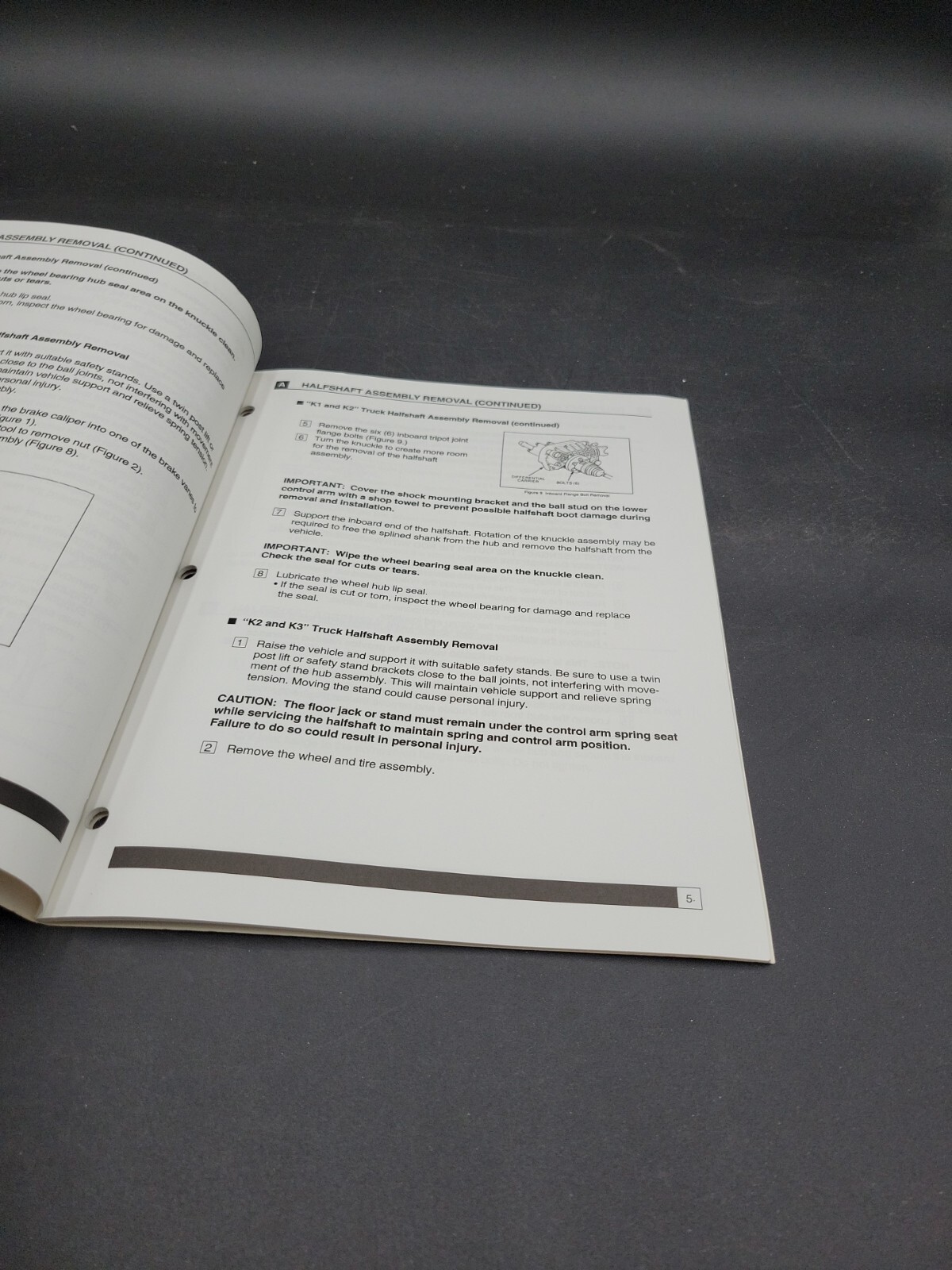 Picture 3