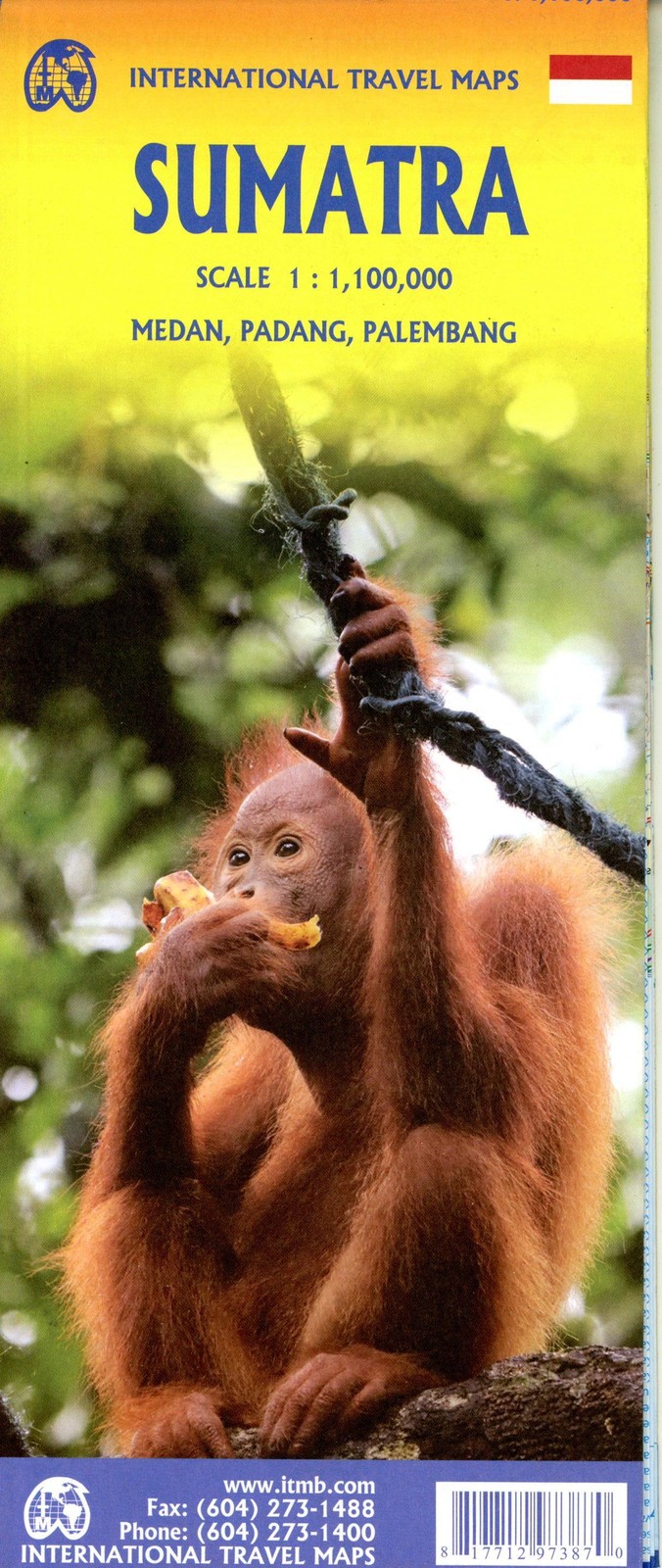 Sumatra: 1:1100000 - Bild 2