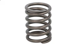FP Diesel Valve Spring 9N5496-FP