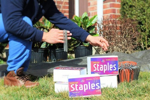 100 Landscape Fabric Staples Garden Stakes Galvanized Sod Staples 6 '' 11 Gauge - Picture 3 of 6