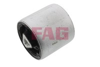 Schaeffler FAG Querlenkerlager 829 0324 10 FüR E60 E61 BMW E63 E64 5Er Touring