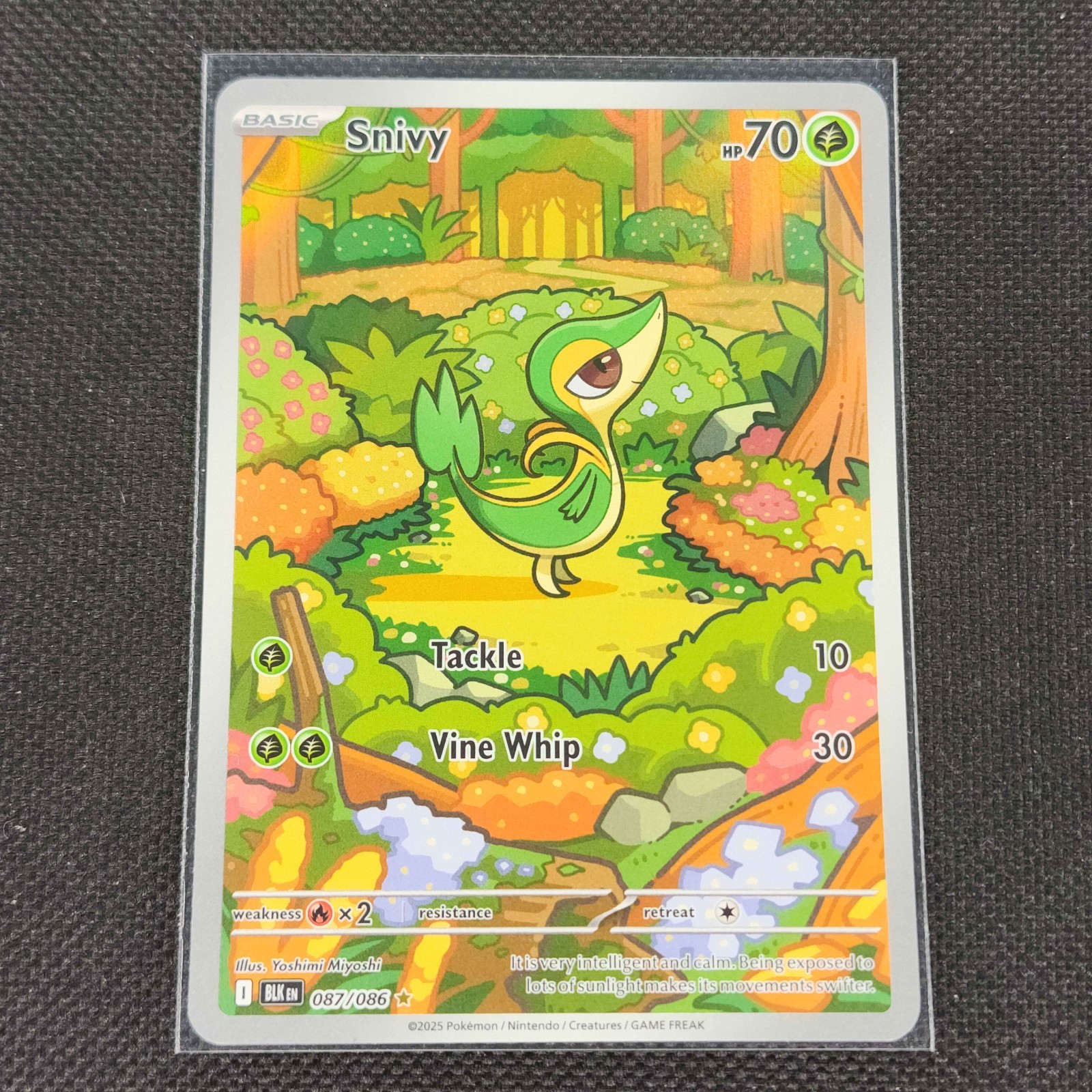 Snivy - 087/086 - Illustration Rare - Black Bolt - Pokemon Card - NM/M