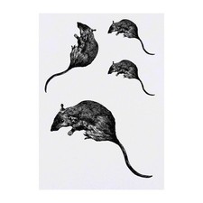 4 x 'Rat' Temporary Tattoos / Transfers TO00014795 