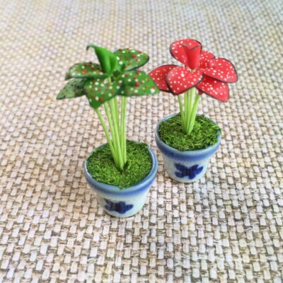 Red Green Caladium Monstera Plant in Ceramic Pot Dollhouse Miniature Decor  Gift | eBay