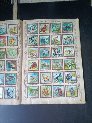 Sammelbilderalbum von Tieren aus aller Welt komplett Top Zustand 1950 - K19 - Bild 2 von 4