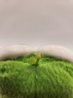 Sanrio Keroppi Yogurtland Promotional Stuffed Toy — photo 3