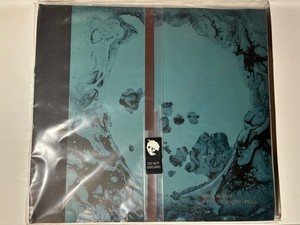 A Moon Shaped Pool Radiohead | eBay