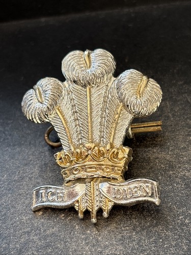 Royal Regiment Of Wales, British Army Staybright Anodised Cap Badge. - Picture 2 of 4
