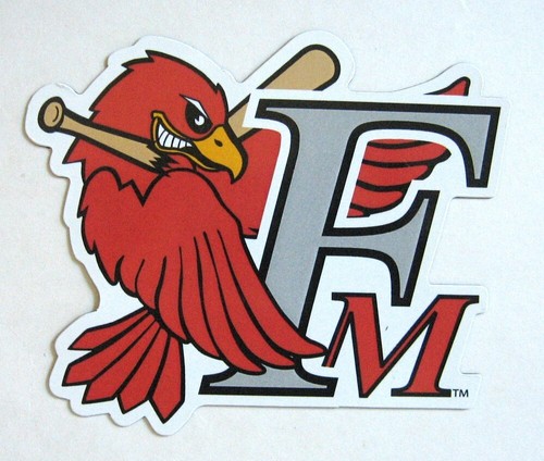 Fargo-Moorhead RedHawks Magnet Baseball Team North Dakota