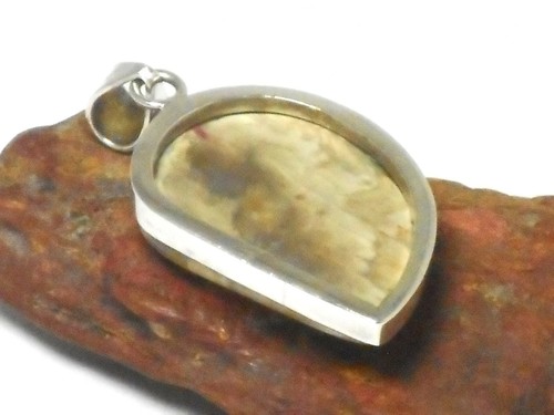 Petrified WOOD Sterling Silver 925 Gemstone PENDANT - Gift Boxed - Picture 5 of 5