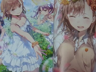 DS Mile A Certain Scientific Railgun Color Fan Art Book Misaka