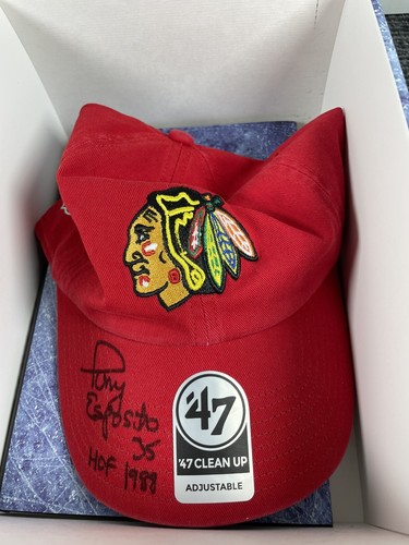 Tony Esposito & Wirtz handsigniert The Break Away Chicago Blackhawks Buch & Hut - Bild 3 von 20