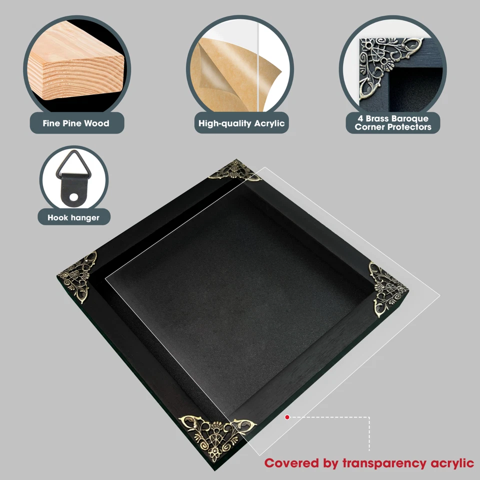 Insect Taxidermy Oddities Curiosities Scorpion Beetle Wings Weird Frame Decor - Image 2 of 2