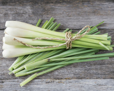 Lemon Grass Seeds Grow Your Own Herbs 