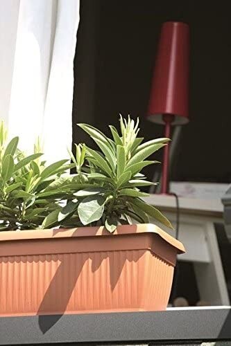 Trough Plant Pot Balcony box Plastic Bel Garden Patio Planter Terra 60 70 80cm - Picture 3 of 22
