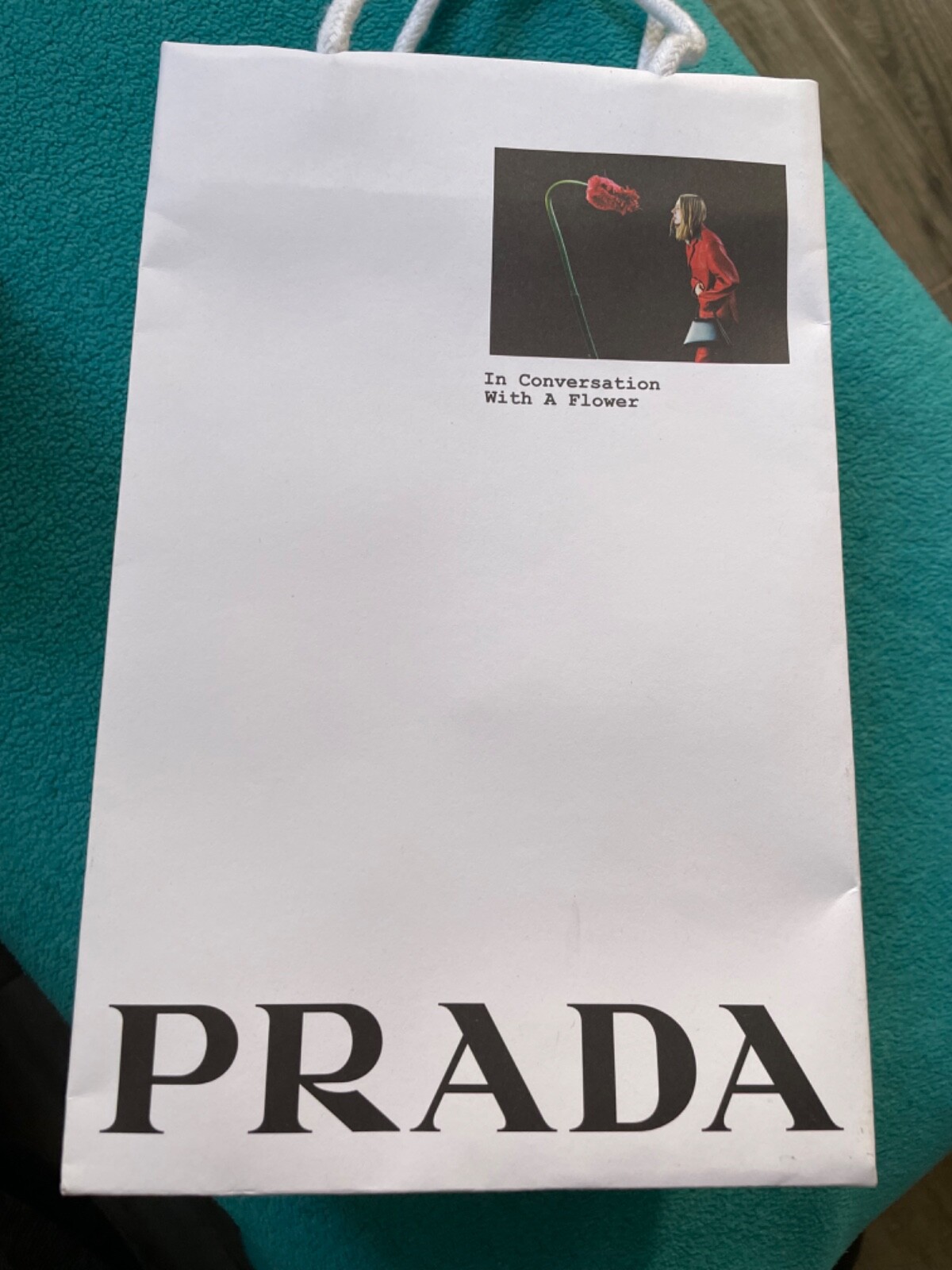 Foto 5 di 12