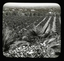Lantern Slide Redlands Smiley Heights California 1900 Underwood & Underwood