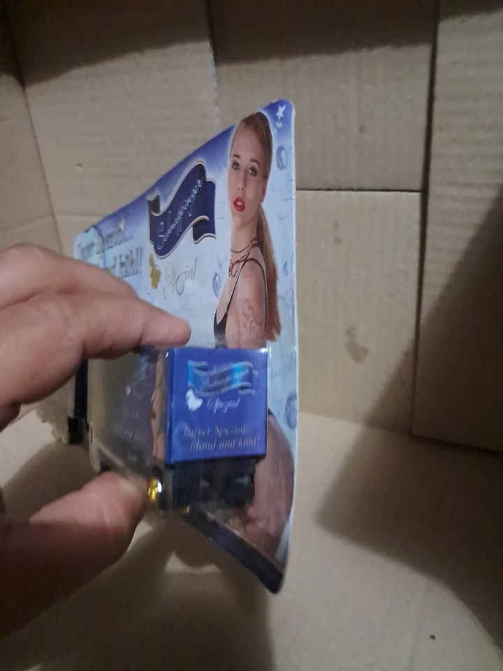 Modellino CamionBrauhaus Schnappinger", una birreria tedesca.  - Immagine 3 di 3