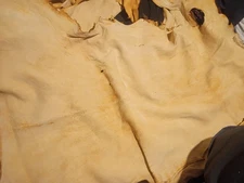 Giant Lot of Emu Leather Pieces Various Sizes and Colors