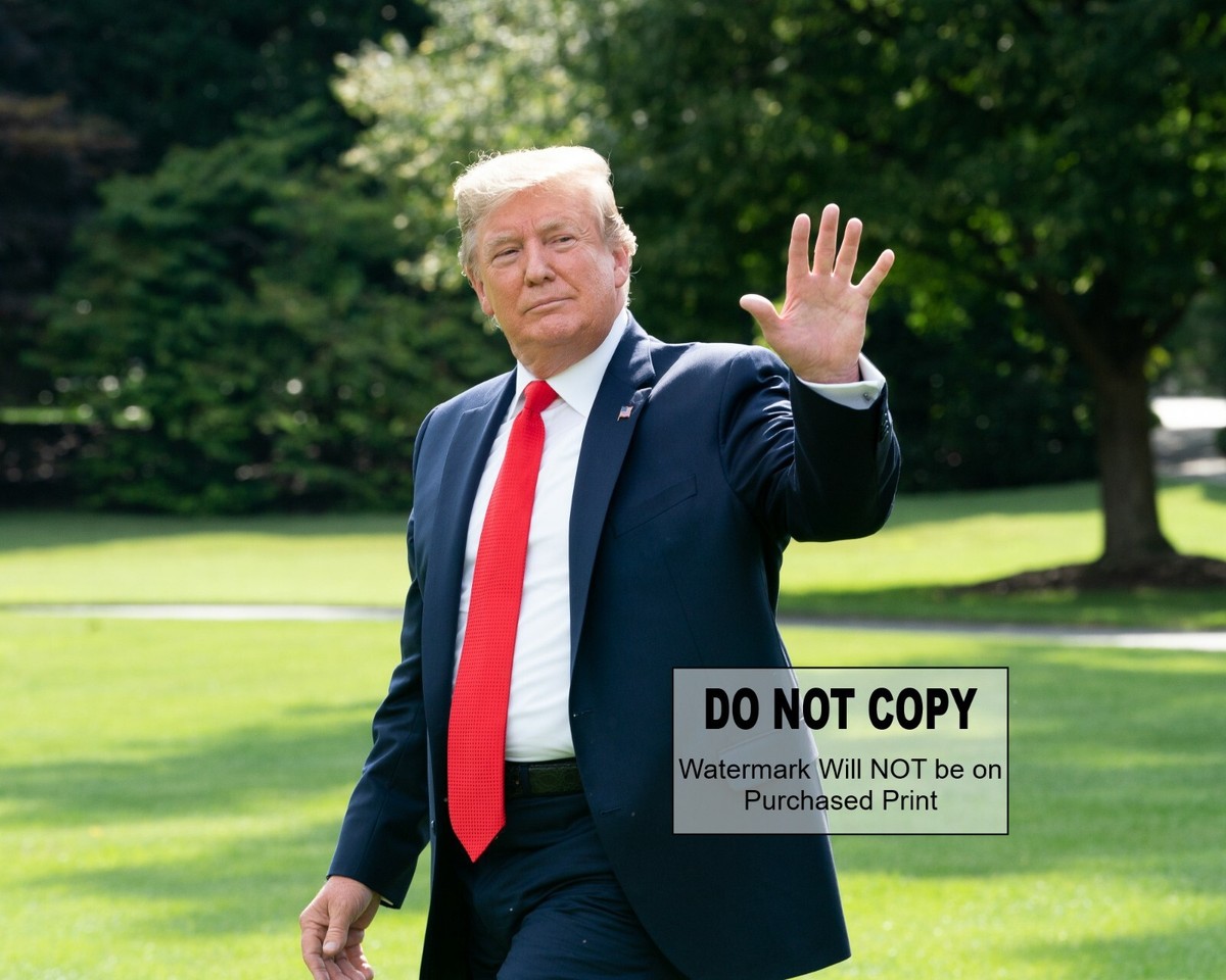 PRESIDENT DONALD TRUMP WAVING ON WHITE HOUSE LAWN MAGA - 8X10