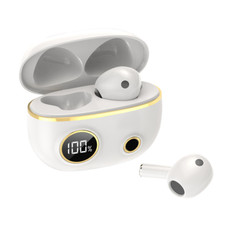 True Wireless Earbuds Bluetooth 5.1 Waterproof Headphones With Charging Case