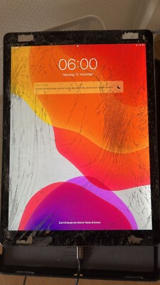 Apple iPad Pro 2. Gen 256GB, Wi-Fi + 4G (Ohne Simlock), 12,9 Zoll - Space Grau