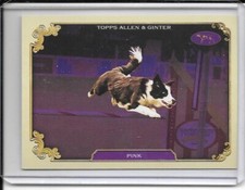 2024 Allen & Ginter..166-350, Base,Chrome,Refractors, Foil Filigree & Inserts
