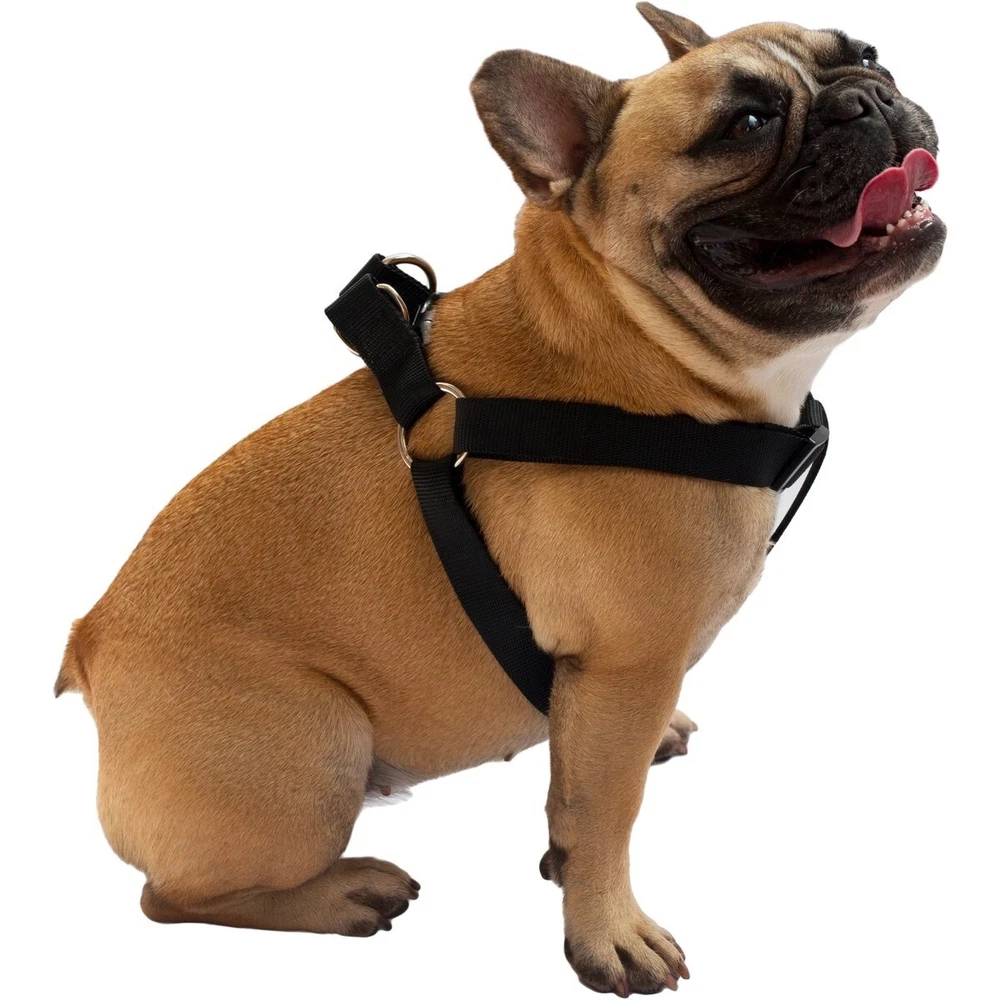 Dog Harness Easy to Use 2 Step Secure Safe Comfortable Firm No Struggle Control