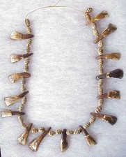 AWSOME Buffalo Tooth / Teeth Beads Necklace