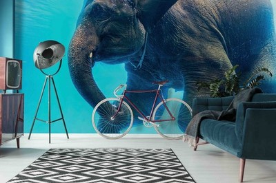 3D Elephant Swimming Close-up Wall Murals Wallpaper Murals Wall Sticker
