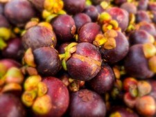 Fresh Mangosteen (2 - 3 Lbs.)