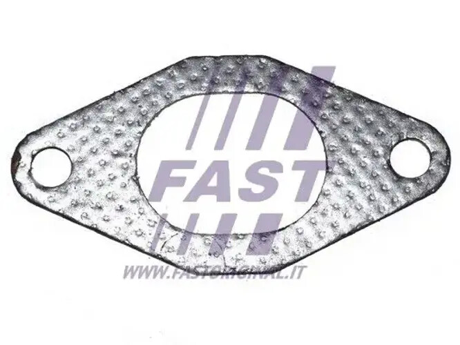 Auspuffkrümmerdichtung FT49484 FAST für CITROËN FIAT IVECO LANCIA  